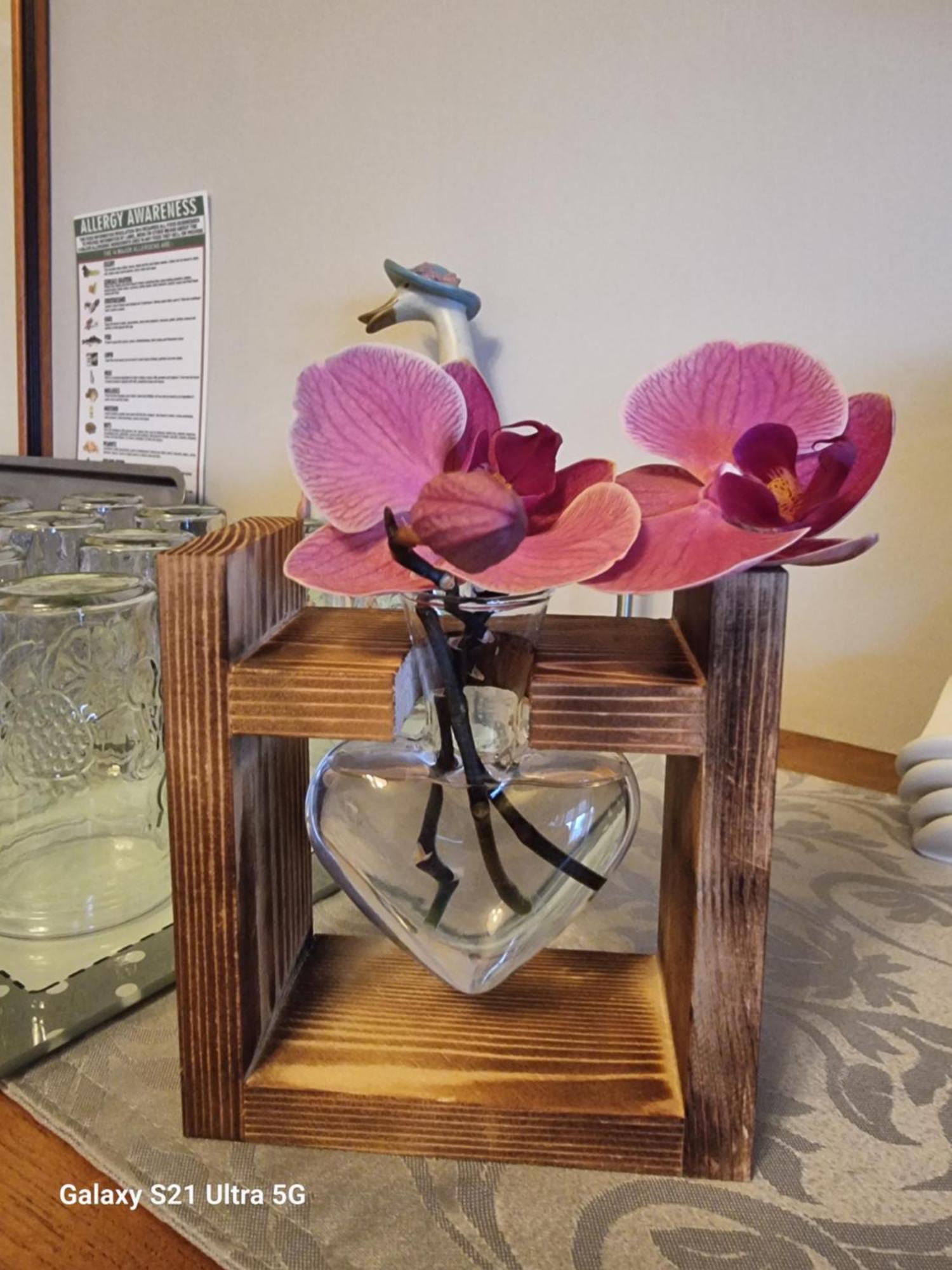 St Leonards Guest House 라그스 외부 사진